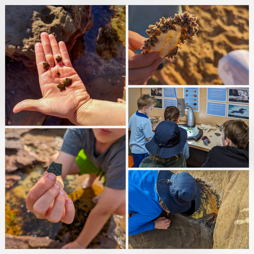 Coastal Investigators collage 2024 Term 1